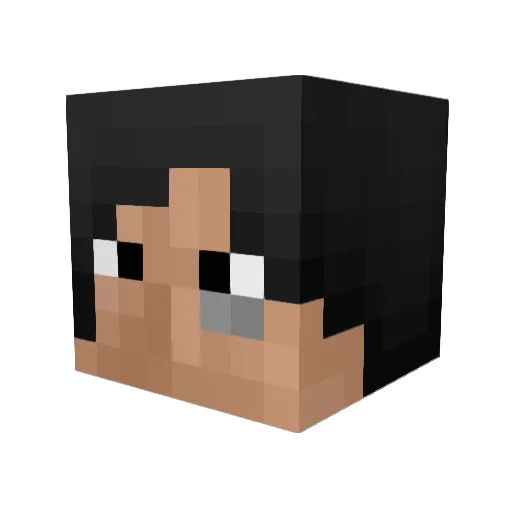 wetfdy Minecraft avatar head, 3D render