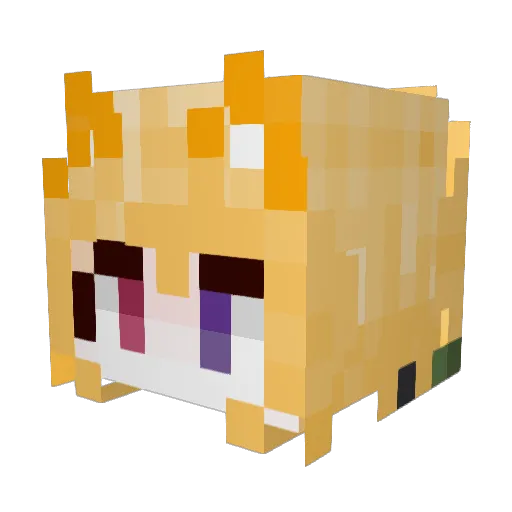 wethop Minecraft avatar head, 3D render