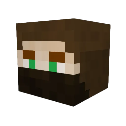 wetmink Minecraft avatar head, 3D render