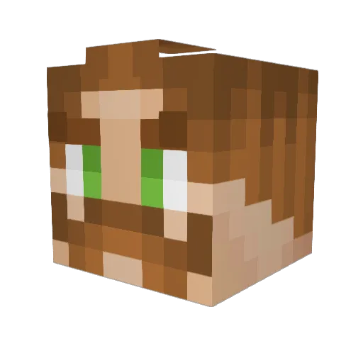 wetoley Minecraft avatar head, 3D render