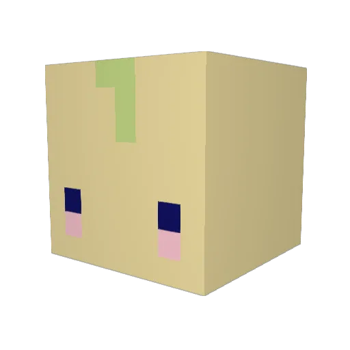 wetpaw1 Minecraft avatar head, 3D render