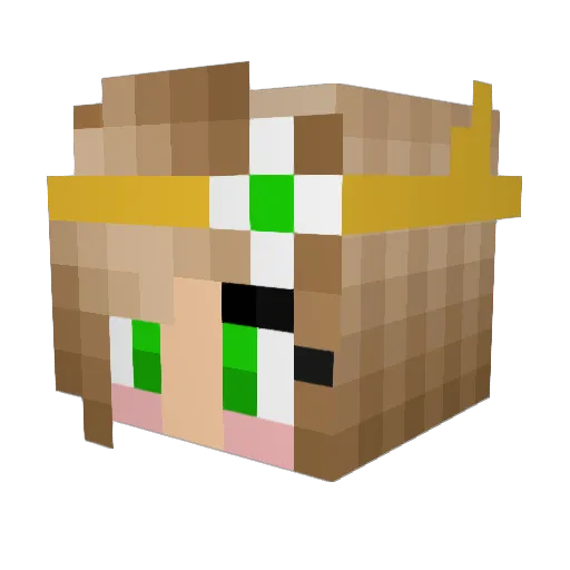 wettam38 Minecraft avatar head, 3D render