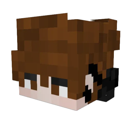 wetyou_ Minecraft avatar head, 3D render