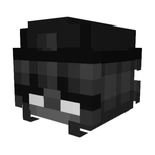 weunN Minecraft avatar head, 3D render