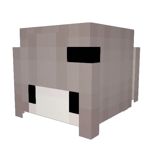 wew_66 Minecraft avatar head, 3D render