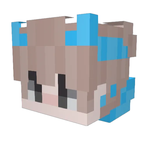 wewe2024 Minecraft avatar head, 3D render