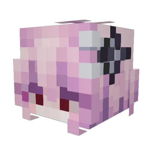 wexxilq Minecraft avatar head, 3D render