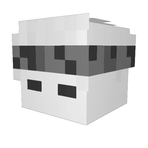 weyel Minecraft avatar head, 3D render
