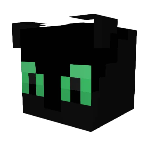 weyla123 Minecraft avatar head, 3D render