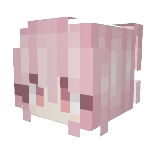 wfdcndm Minecraft avatar head, 3D render