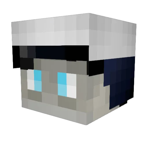 wfenjorrit Minecraft avatar head, 3D render