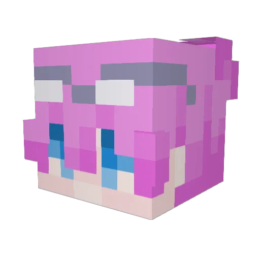 wfio Minecraft avatar head, 3D render