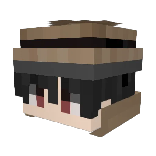 wflid Minecraft avatar head, 3D render
