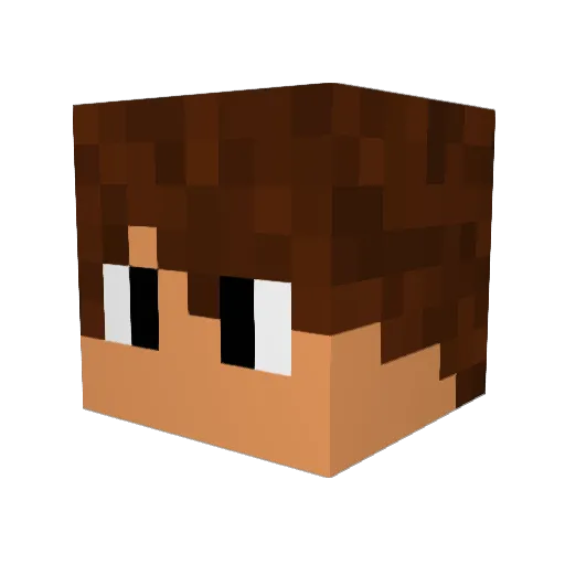 wflizzi Minecraft avatar head, 3D render