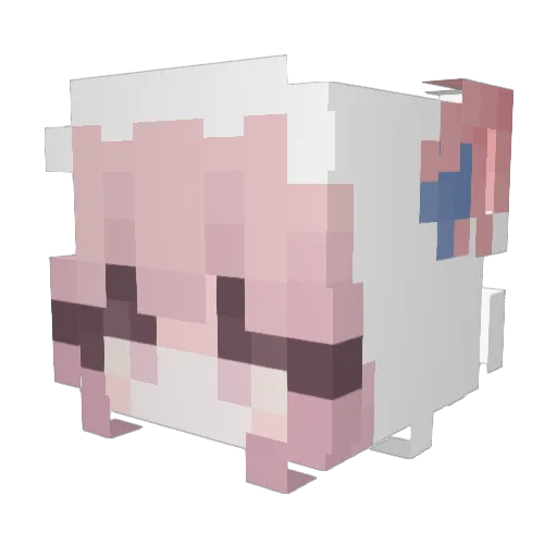 wfmz Minecraft avatar head, 3D render