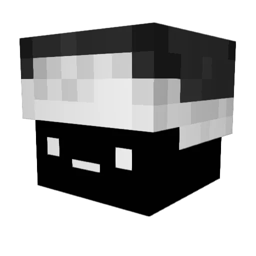wfu Minecraft avatar head, 3D render