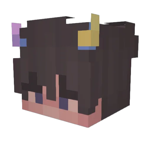 wfvj Minecraft avatar head, 3D render