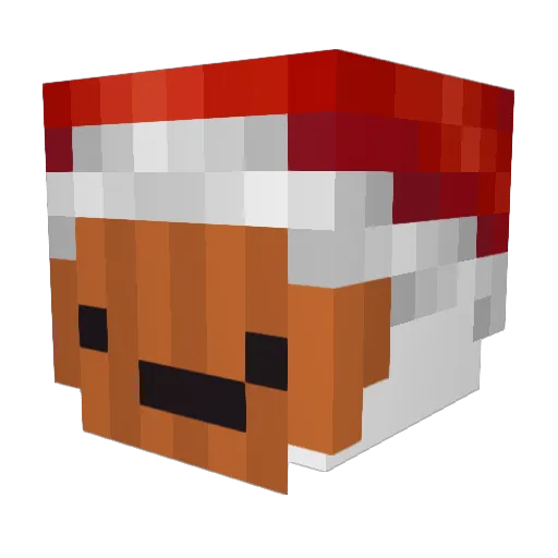wgkitlol123 Minecraft avatar head, 3D render