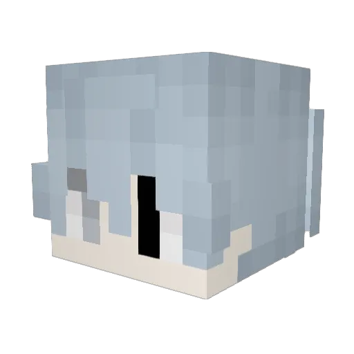 wgrw Minecraft avatar head, 3D render
