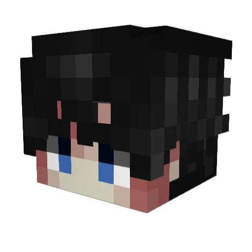 wgsui Minecraft avatar head, 3D render