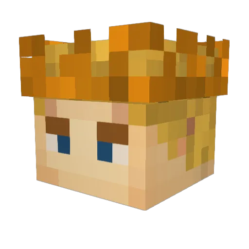 wgtjgd Minecraft avatar head, 3D render