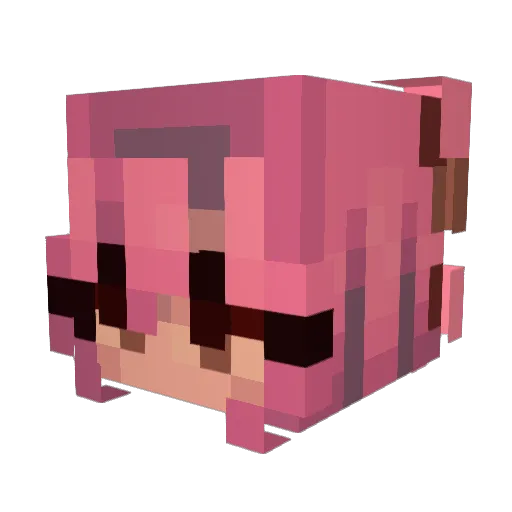 wh1t3rose Minecraft avatar head, 3D render