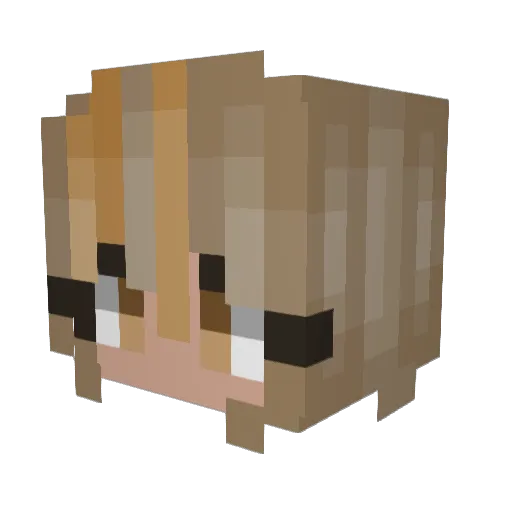 wh1teFrappe Minecraft avatar head, 3D render