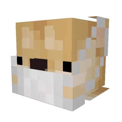 wh3tim0 Minecraft avatar head, 3D render