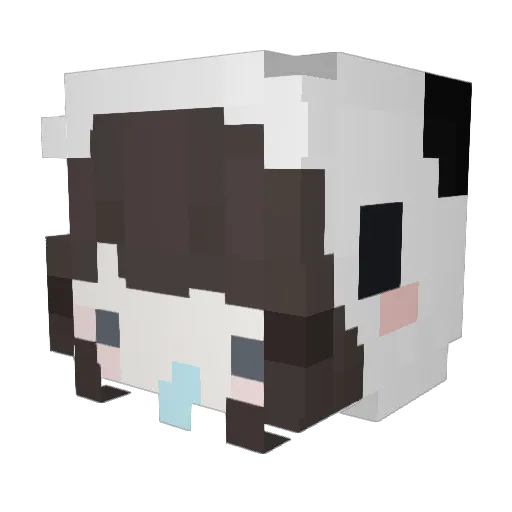 wh521 Minecraft avatar head, 3D render