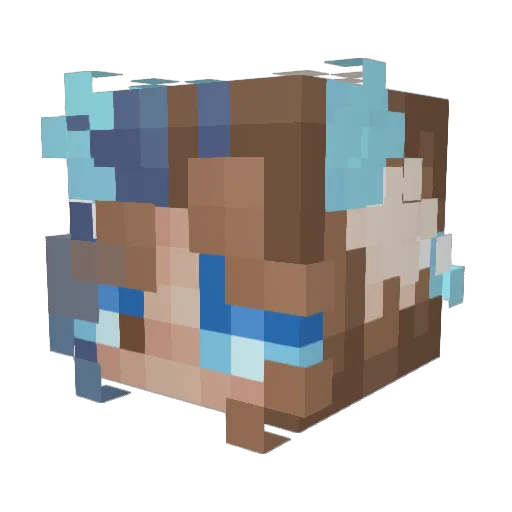 whale019 Minecraft avatar head, 3D render