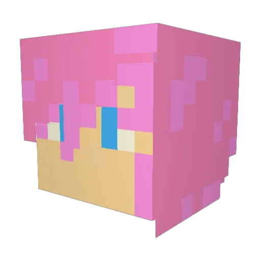 whale7863 Minecraft avatar head, 3D render
