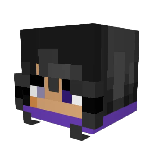 whalechips Minecraft avatar head, 3D render