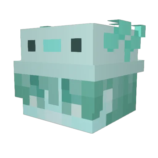 whalerz Minecraft avatar head, 3D render