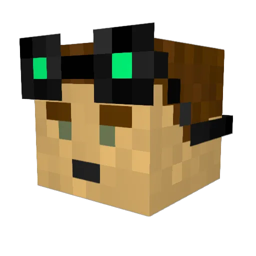 whalwing25 Minecraft avatar head, 3D render