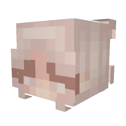 whaolu Minecraft avatar head, 3D render