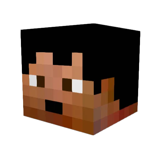 whapa3 Minecraft avatar head, 3D render