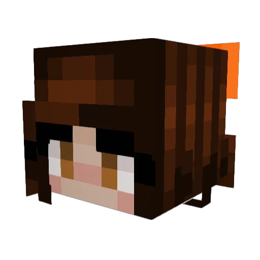 whatCARPET Minecraft avatar head, 3D render