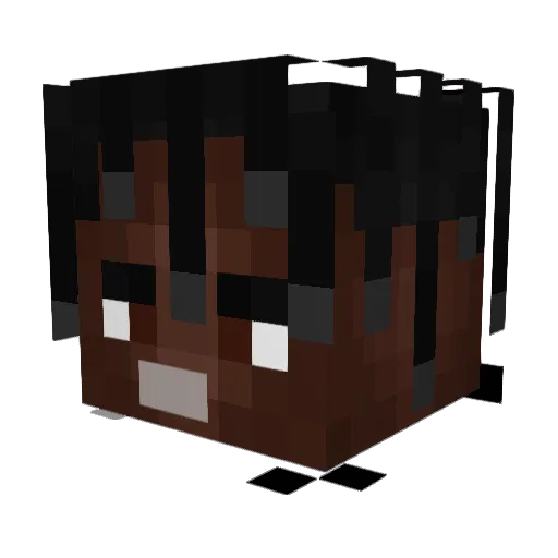 what_the_point Minecraft avatar head, 3D render