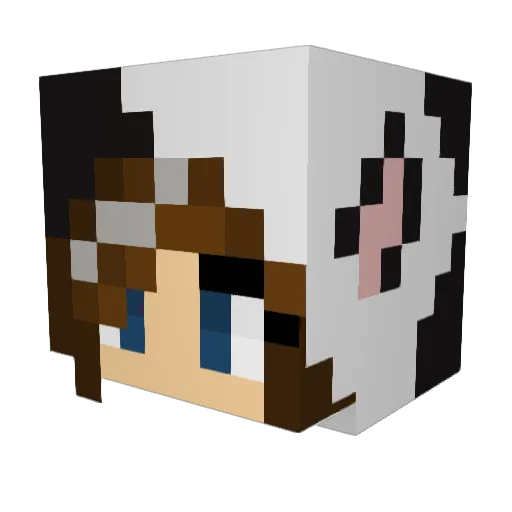 whatevernext Minecraft avatar head, 3D render