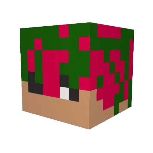whatisviolence Minecraft avatar head, 3D render