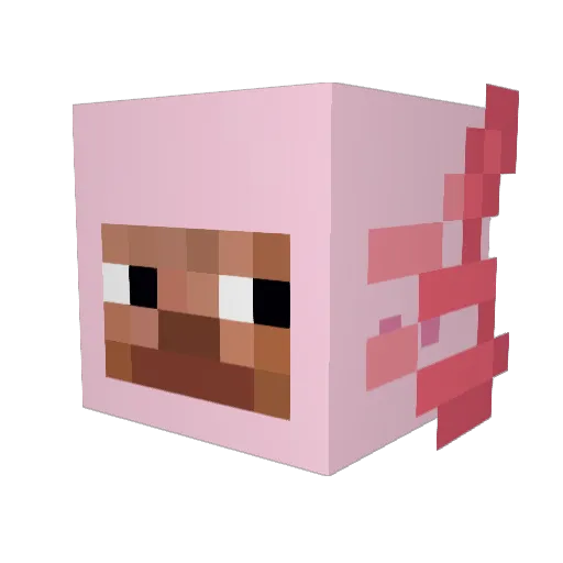 whatsdrippins Minecraft avatar head, 3D render