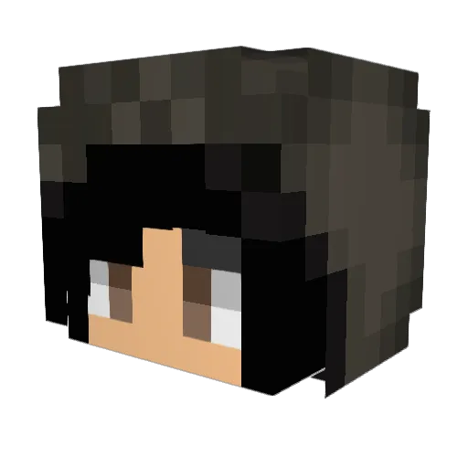 whatsupdoc2 Minecraft avatar head, 3D render