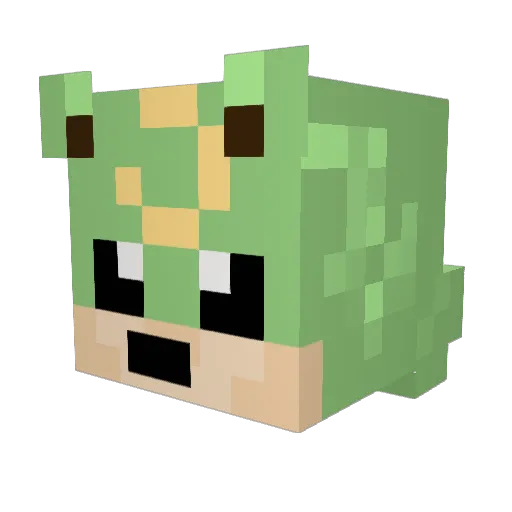 whatup_tj Minecraft avatar head, 3D render