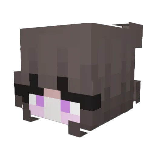 wheal66 Minecraft avatar head, 3D render