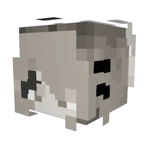 wheaqqt Minecraft avatar head, 3D render