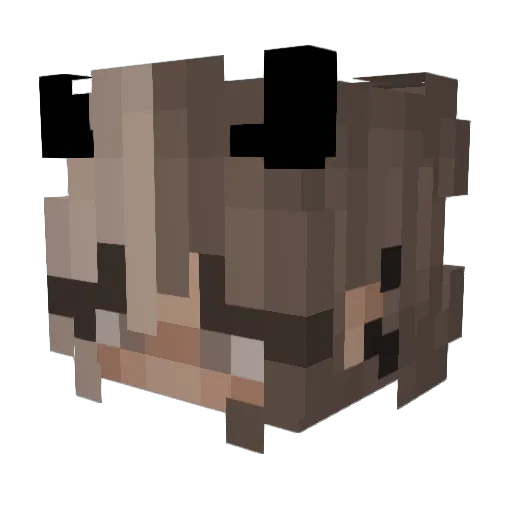 wheeeeeeeezy Minecraft avatar head, 3D render