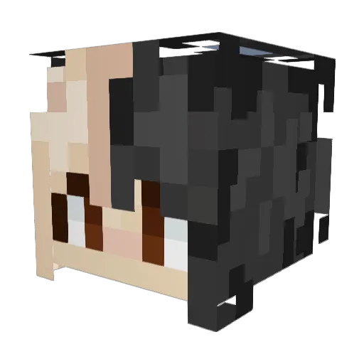 wheeiny Minecraft avatar head, 3D render