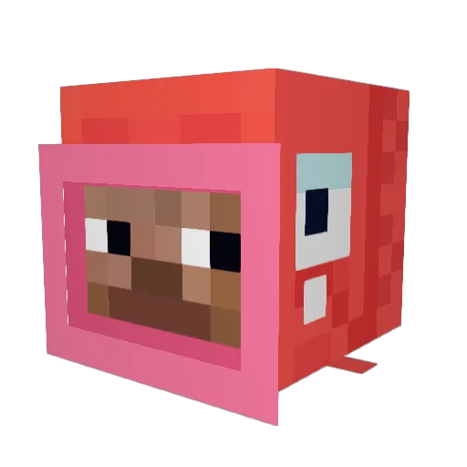 wheelbareel Minecraft avatar head, 3D render