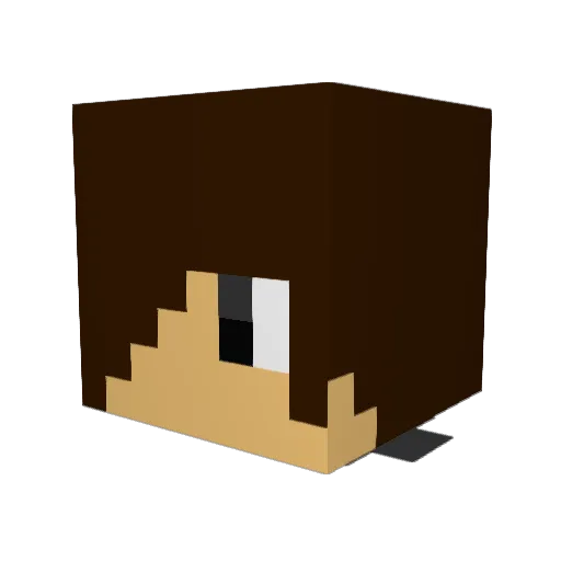 wheeler297 Minecraft avatar head, 3D render