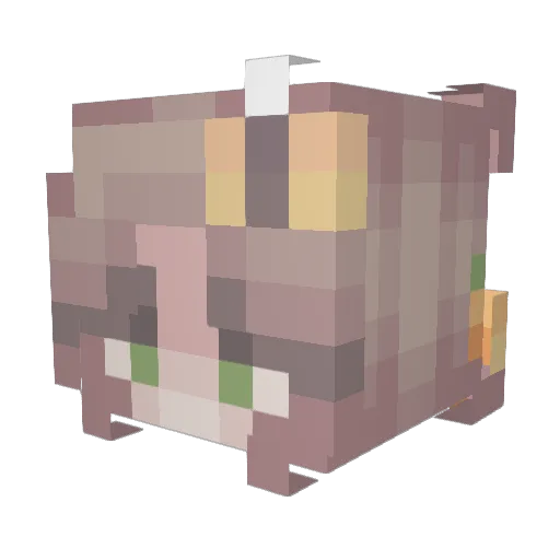 wheelsupinfive Minecraft avatar head, 3D render
